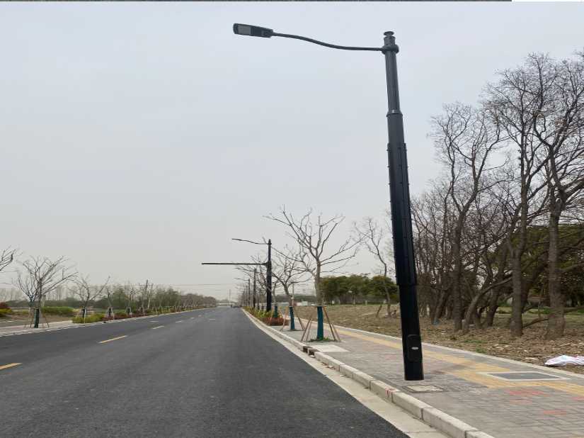 枞阳县上海综合杆 太阳能路灯工程